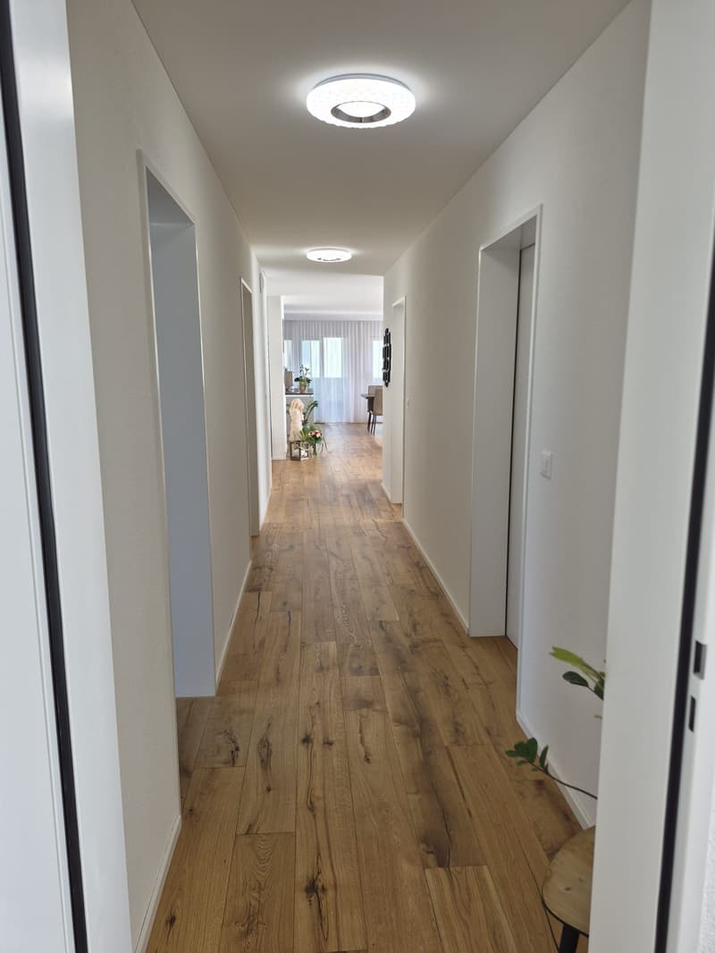 Modern 4.5-room attic apartment with countryside view (6)