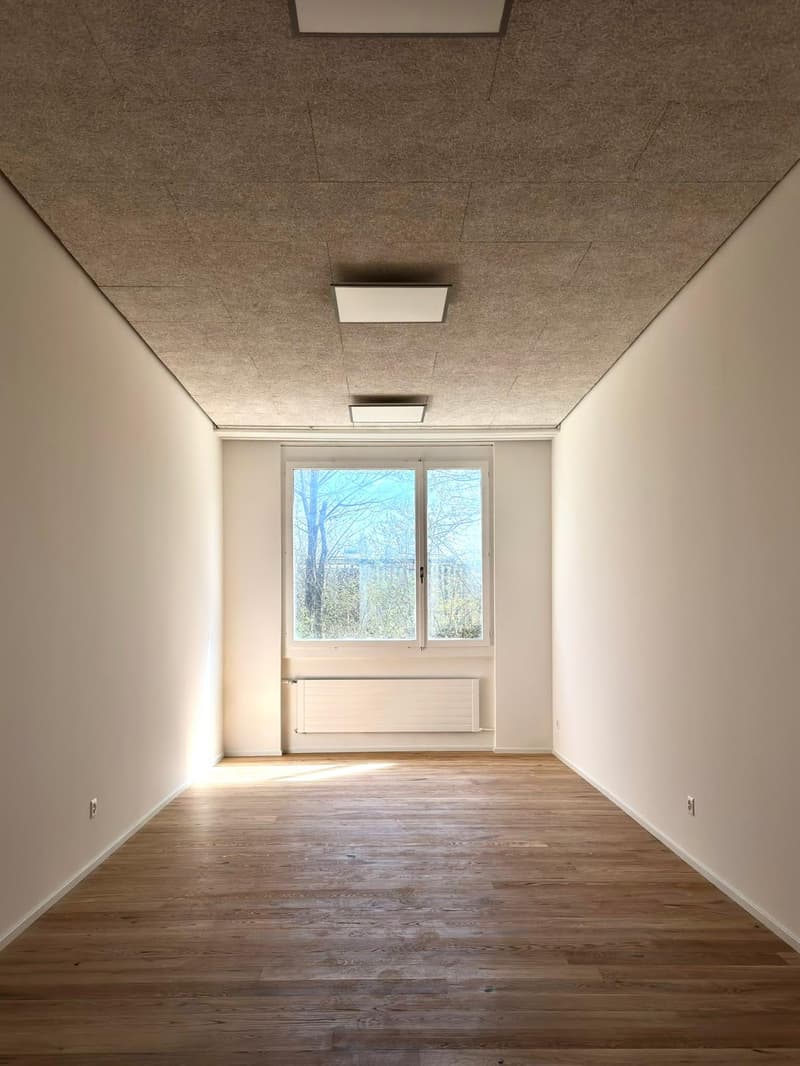 Spazio al piano terra attraente - ideale per ufficio, studio o studio medico (2)