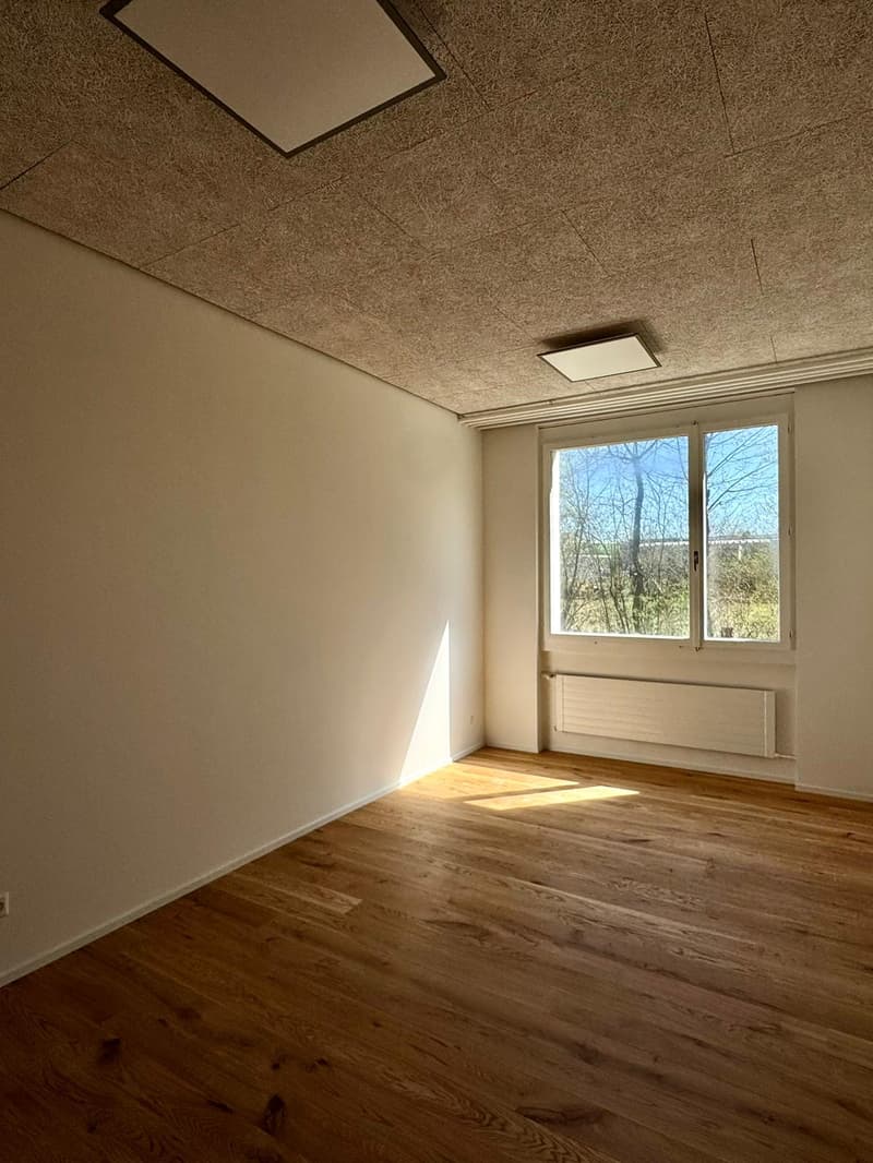 Spazio al pian terreno moderno - ideale per ufficio o studio (3)