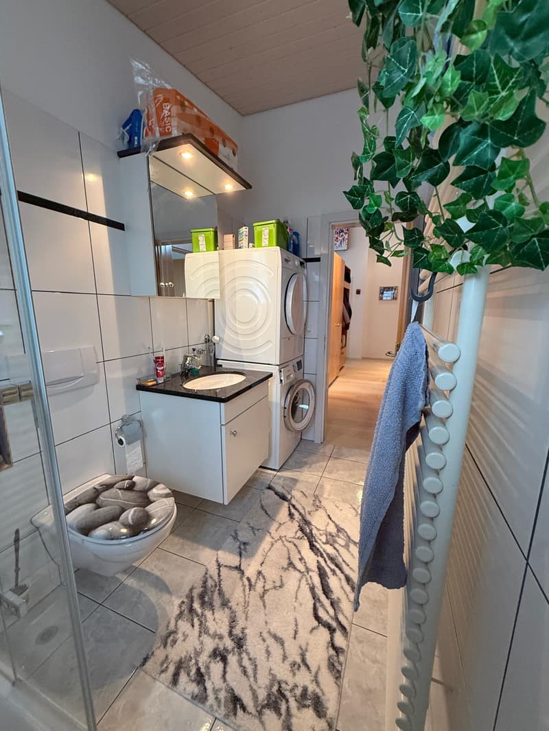 Attraktive 4-Zimmer-Dachwohnung mit Liftzugang direkt in die Wohnung (9)