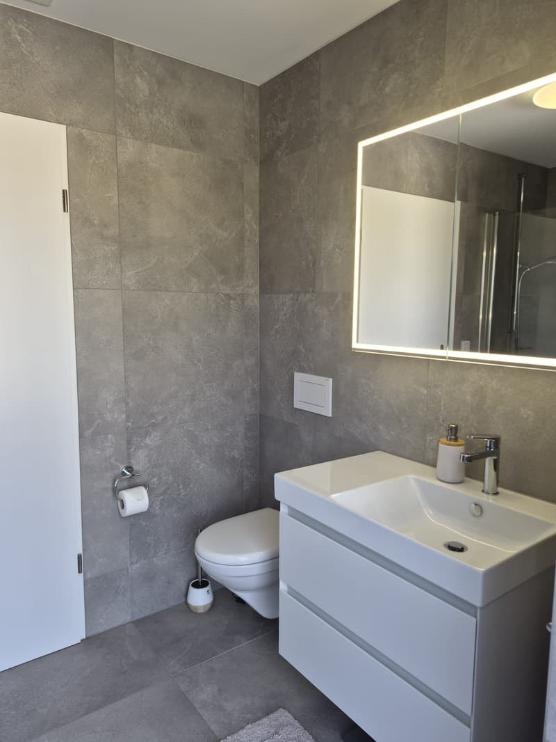 Moderne 4.5-Zimmer Attikawohnung mit Landblick (9)