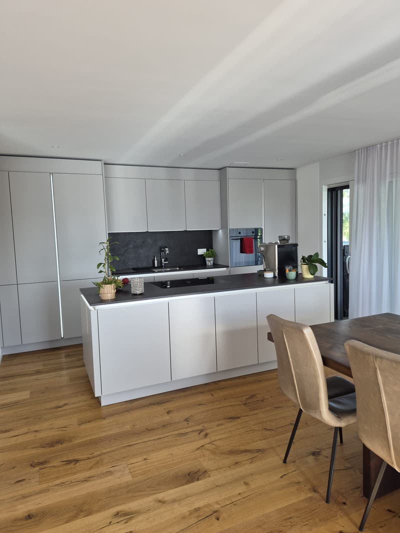 Moderne 4.5-Zimmer Attikawohnung mit Landblick (3)