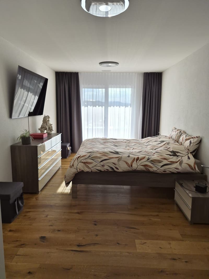 Moderne 4.5-Zimmer Attikawohnung mit Landblick (7)
