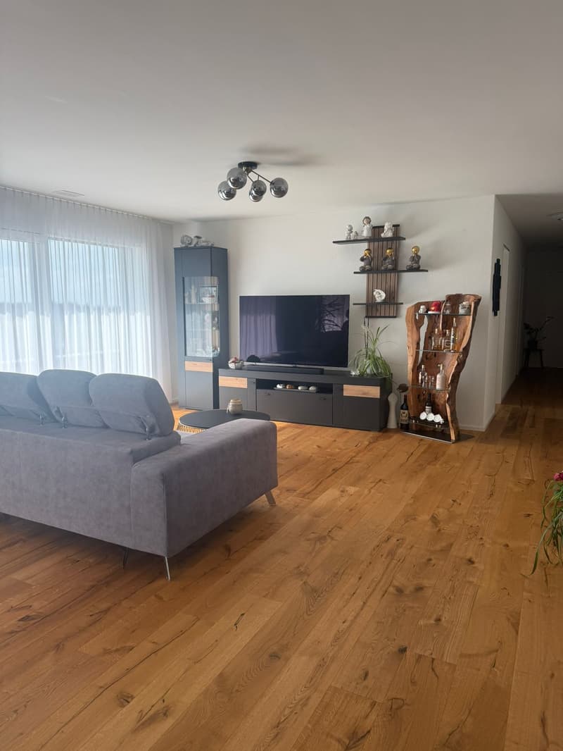 Moderne 4.5-Zimmer Attikawohnung mit Landblick (5)