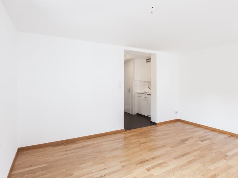 Gemütliche 2-Zimmer-Wohnung in St. Gallen - Nachmieter gesucht (3)