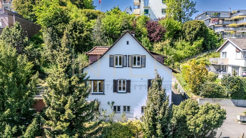 Stylish detached 6.5-room single-family house with 981 m² plot, lake view and development potential in Oberrieden (8)