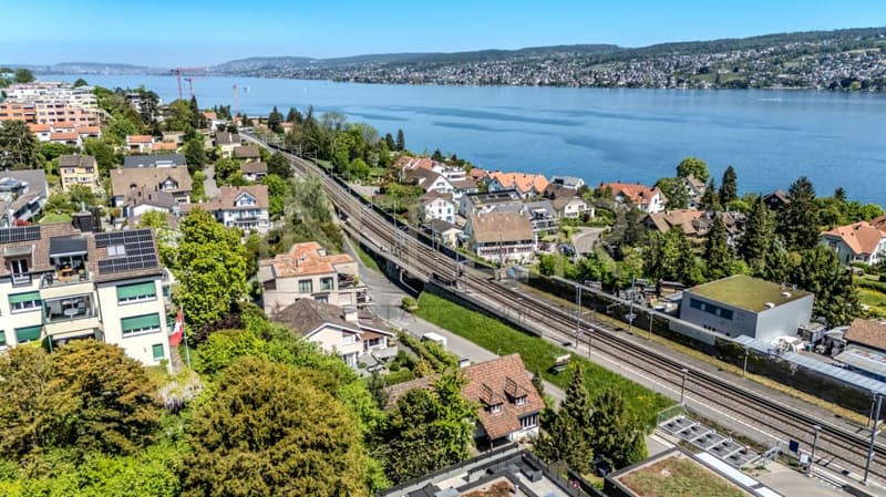 Stylish detached 6.5-room single-family house with 981 m² plot, lake view and development potential in Oberrieden (2)