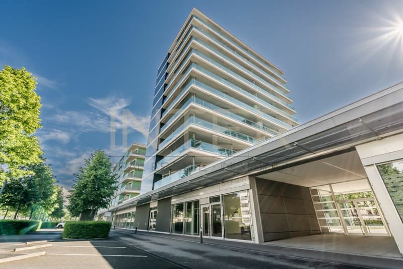 Spacious 5.5-room apartment with large balcony in Feldpark Zug (4)