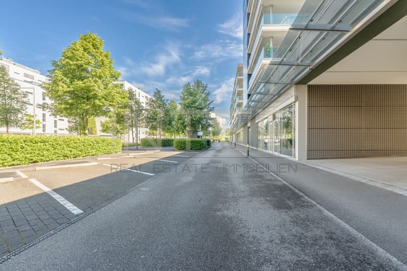 Spacious 5.5-room apartment with large balcony in Feldpark Zug (27)