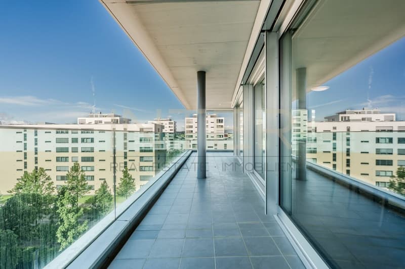 Spacious 5.5-room apartment with large balcony in Feldpark Zug (18)