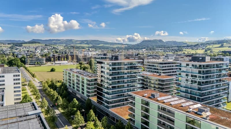 Spacious 5.5-room apartment with large balcony in Feldpark Zug (32)