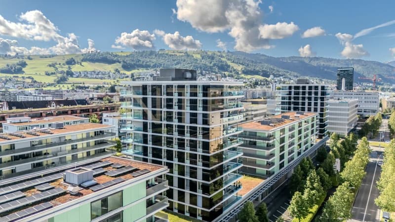 Spacious 5.5-room apartment with large balcony in Feldpark Zug (33)