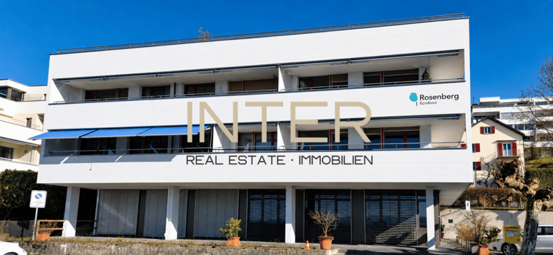 Modern wohnen mit traumhafter Sicht auf den Zugersee (16)