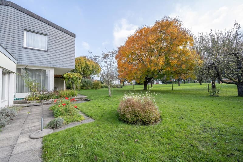 Modern two-story house with brick facade, window with white curtains, walkway leading to the front door, small flower bed, large lawn, several trees, distant buildings