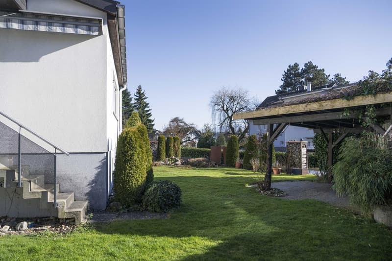 Green lawn, shrubs, and a wooden pergola with a shed roof.