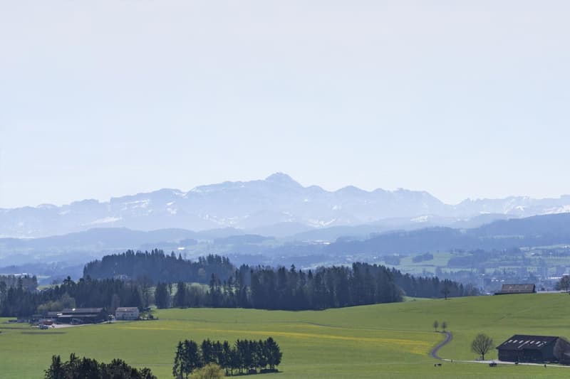 Green fields, trees, mountains, buildings, clear sky