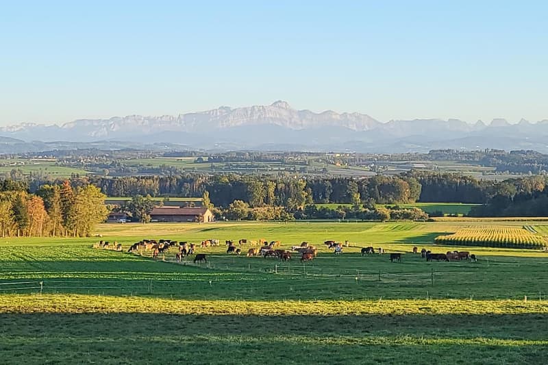 Weitblick aus dem Quartier