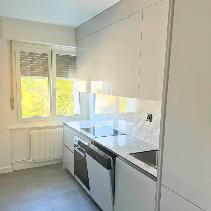 A louer - Appartement de 6 pièces au coeur de Nyon (4)
