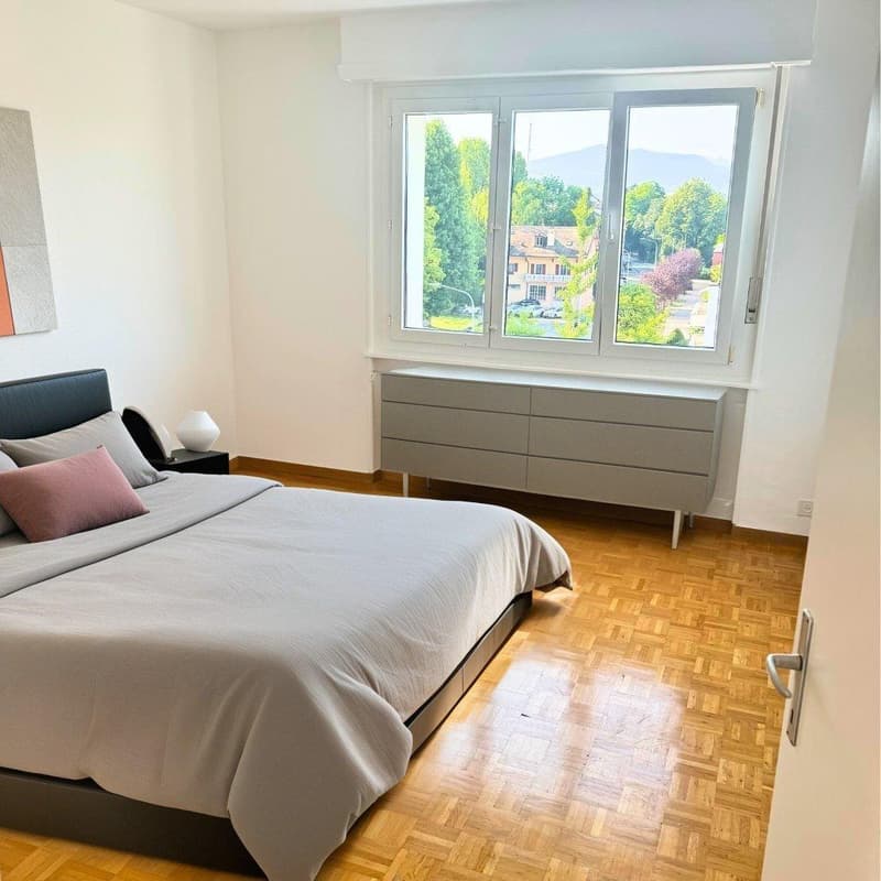 A louer - Appartement de 6 pièces au coeur de Nyon (3)