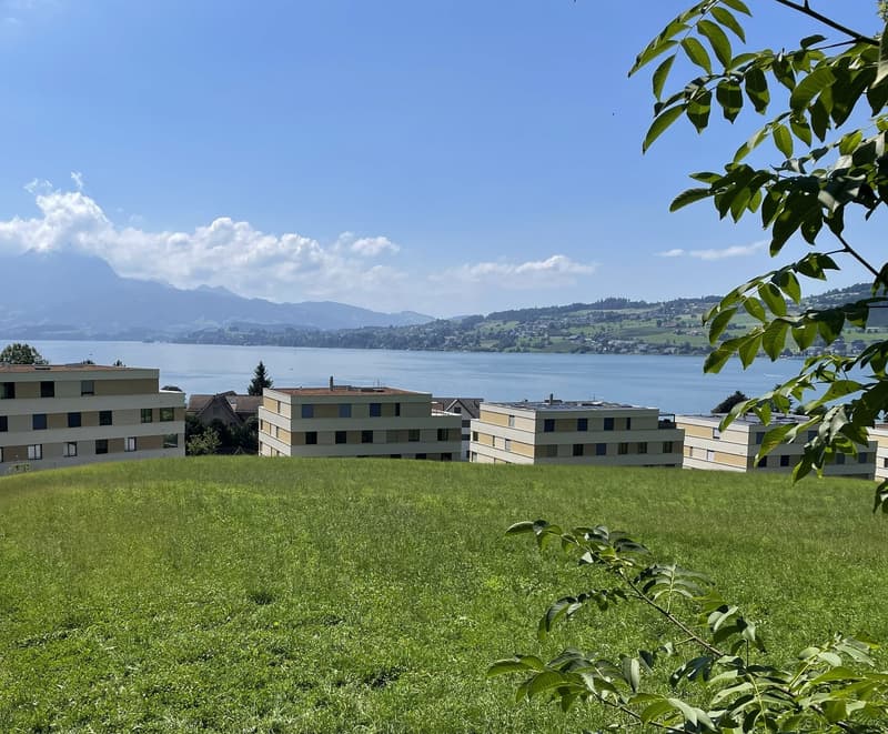 Wide field of grass, overlooking a large lake, multiple apartment buildings, mountains
