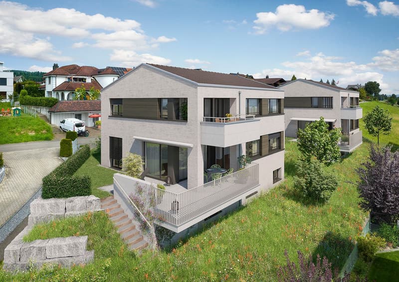 Maison unifamiliale dépendante de 6½ pièces (neuve) à seulement 20 minutes de Zug (3)