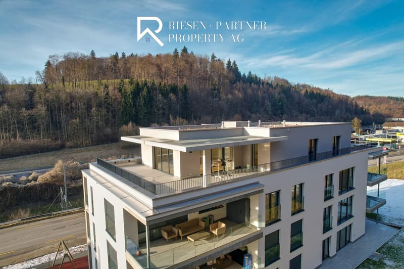 modern multistory house, 4 floors, terrace, large windows, surrounding trees