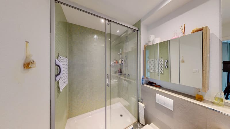 Ground floor apartment with a house feel in Fraubrunnen (14)