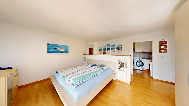 Zwei Wohnungen in einer: 7 Zimmer, Sauna und zwei Balkone gegen Süden (24)