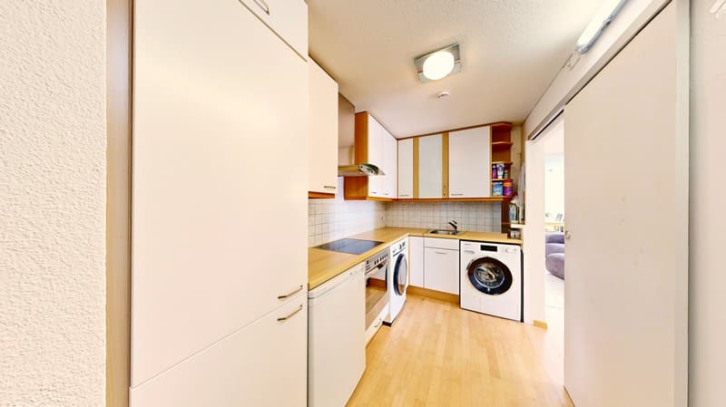 Zwei Wohnungen in einer: 7 Zimmer, Sauna und zwei Balkone gegen Süden (25)