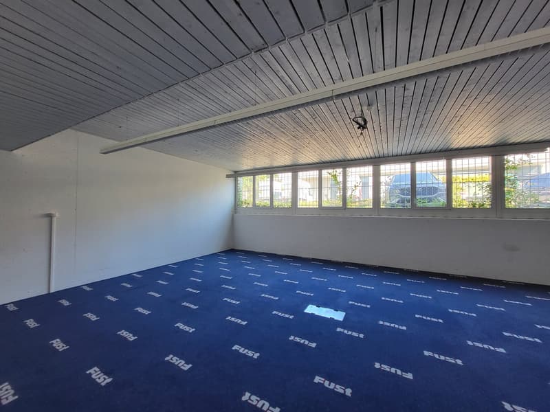 Empty room with white walls, ceiling lights, large windows, blue carpet