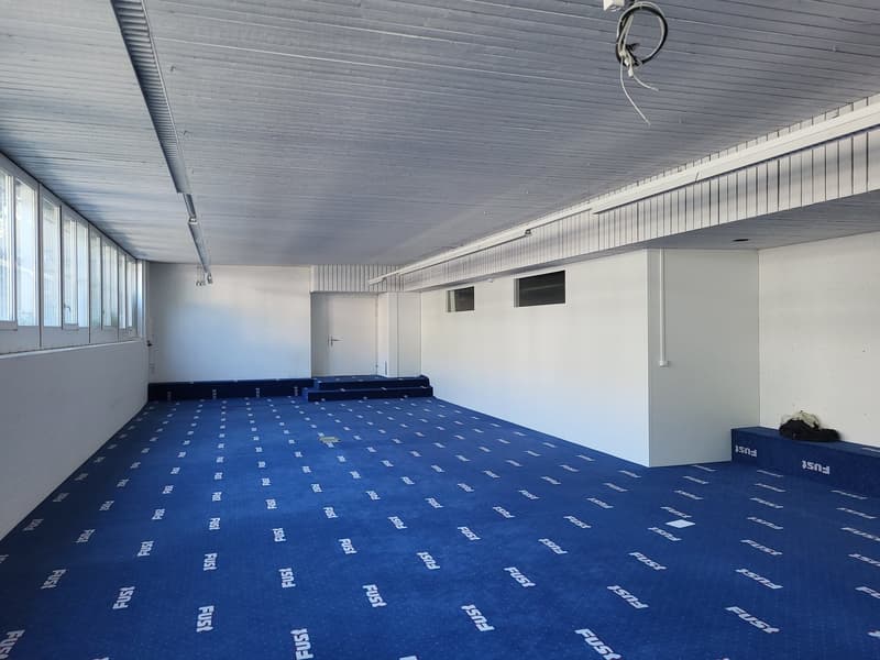 empty room with blue carpet and white walls, ceiling with track lighting, windows, and doors