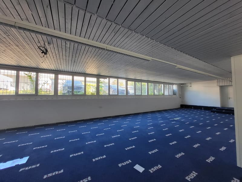 Empty room, blue carpet, white walls, windows with metal grilles, ceiling with wooden slats