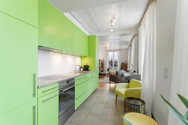Detached, fully renovated, rented two-family house with forest plot! (3)