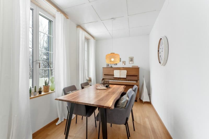 Detached, fully renovated, rented two-family house with forest plot! (2)