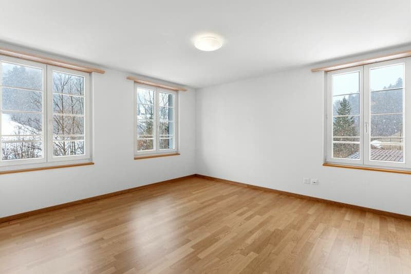 Casa a schiera, completamente ristrutturata, affittata, con proprietà boschiva! (9)