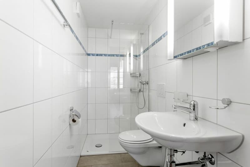 Casa a schiera, completamente ristrutturata, affittata, con proprietà boschiva! (11)