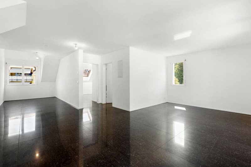 5 ½-Zi.-Maisonette-Wohnung mit viel Platz zum Wohnen und Wohlfühlen! (5)