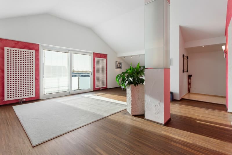 Grosszügiges 10 ½-Zimmer-Einfamilienhaus mit vielseitigem Nutzungspotenzial! (11)