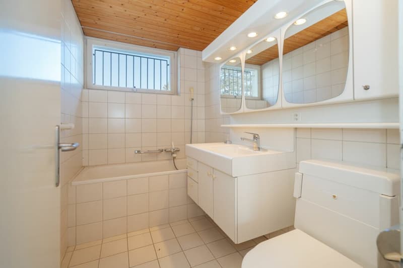 Generous plot in an idyllic location with many possibilities (9)
