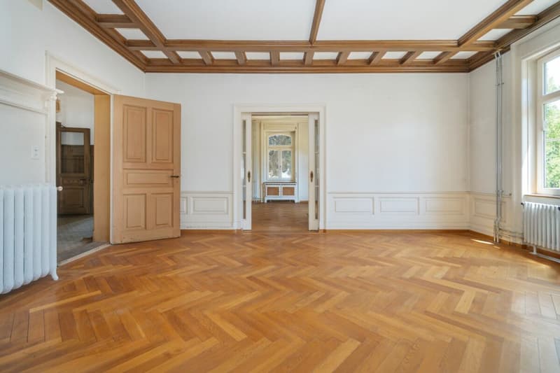 Villa Dreifuss - Dove la storia scrive un nuovo capitolo (5)
