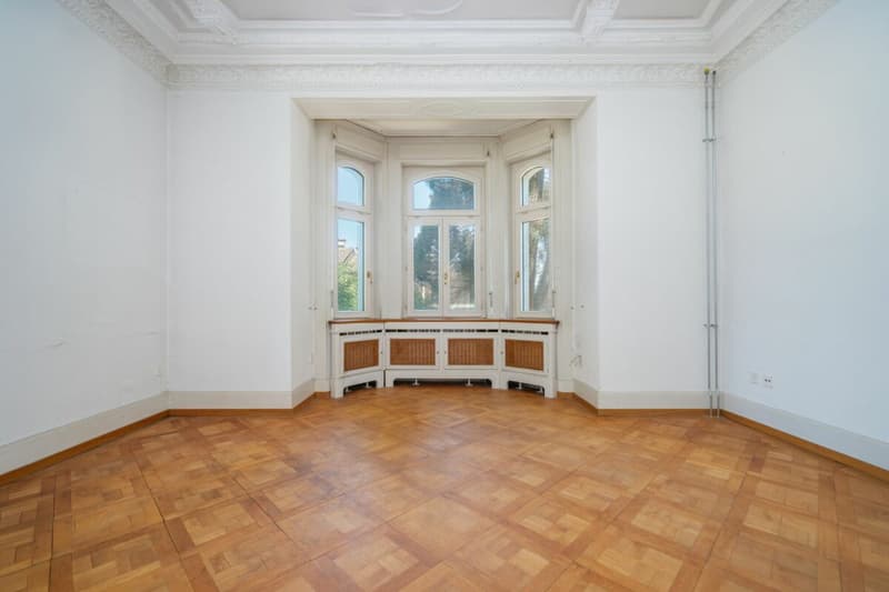 Villa Dreifuss - Dove la storia scrive un nuovo capitolo (7)