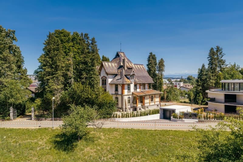 Villa Dreifuss - Dove la storia scrive un nuovo capitolo (1)