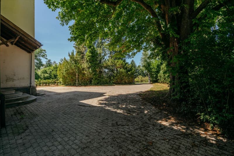Villa Dreifuss - Dove la storia scrive un nuovo capitolo (3)
