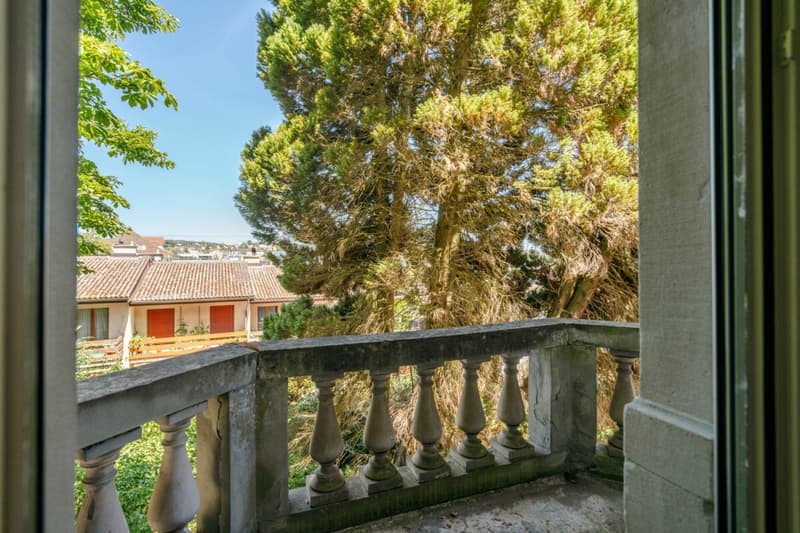 Villa Dreifuss - Dove la storia scrive un nuovo capitolo (13)