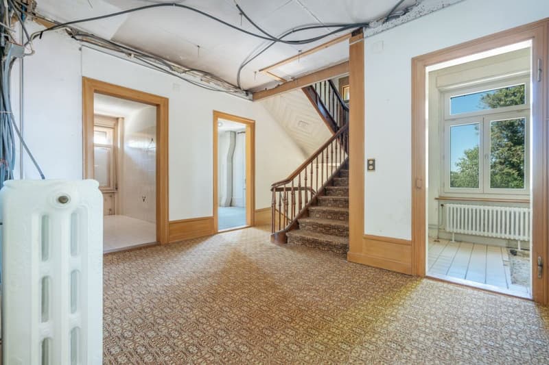 Villa Dreifuss - Dove la storia scrive un nuovo capitolo (15)