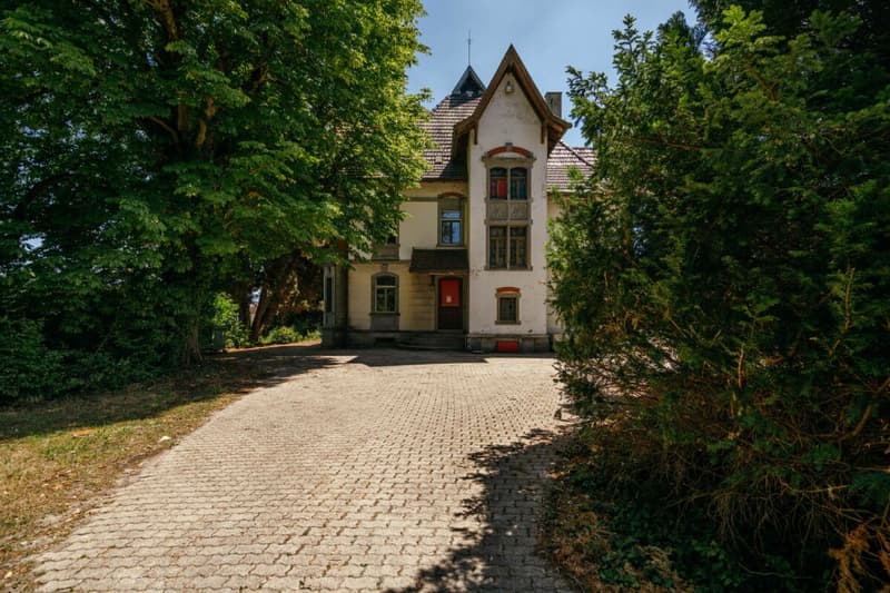 Villa Dreifuss - Dove la storia scrive un nuovo capitolo (2)