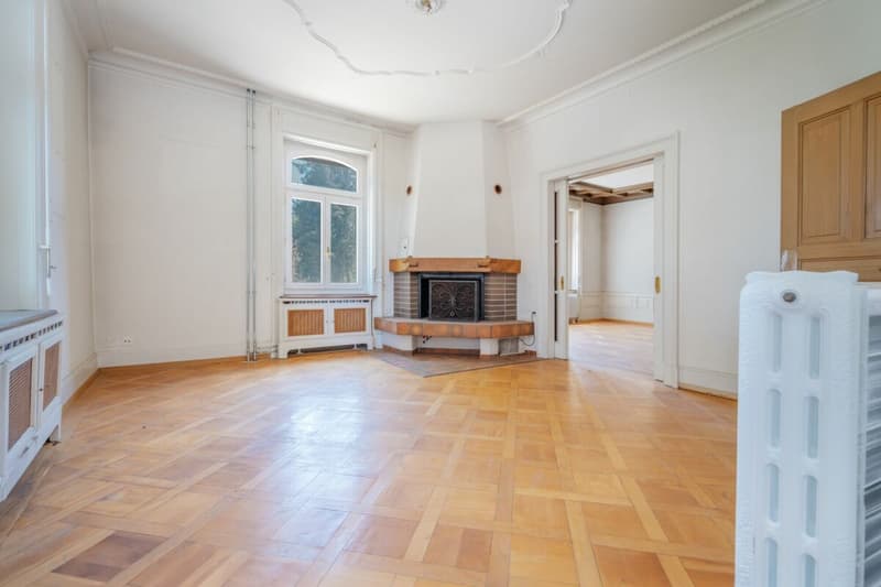 Villa Dreifuss - Dove la storia scrive un nuovo capitolo (6)