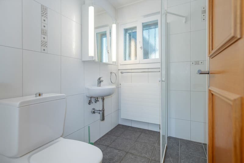 Freistehendes 6½-Zimmer Einfamilienhaus mit Wintergarten und viel Umschwung (6)