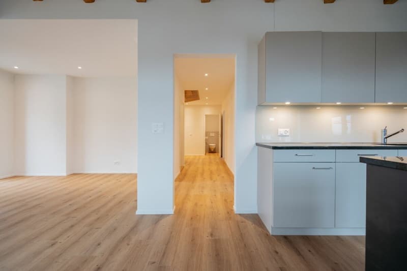 Charmante 5-Zimmer-Maisonettewohnung mit Galerie, Dachterrasse und Loggia (12)
