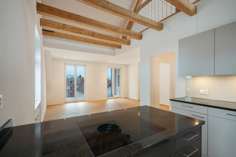 Charmante 5-Zimmer-Maisonettewohnung mit Galerie, Dachterrasse und Loggia (16)